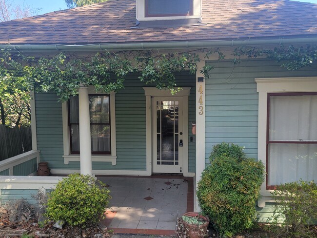 Primary Photo - 443 Allison St