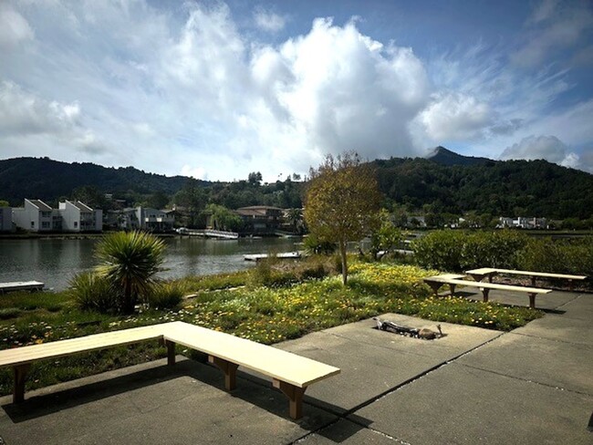 Building Photo - Fully Furnished Greenbrae Condo on Corte M...