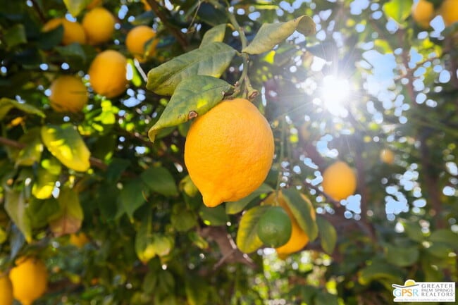 Building Photo - 72689 Beavertail St