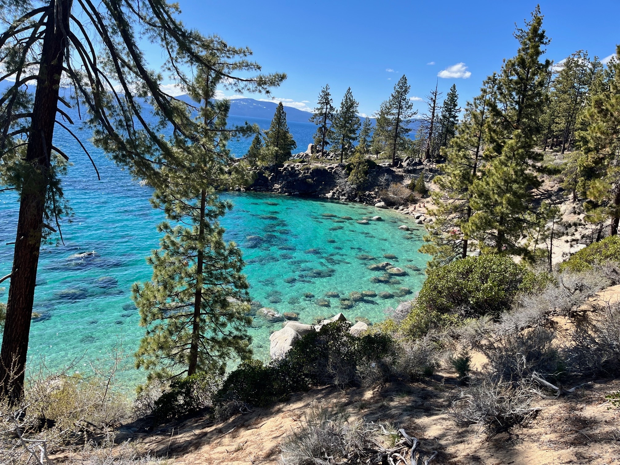 Building Photo - 1240 Plumas St