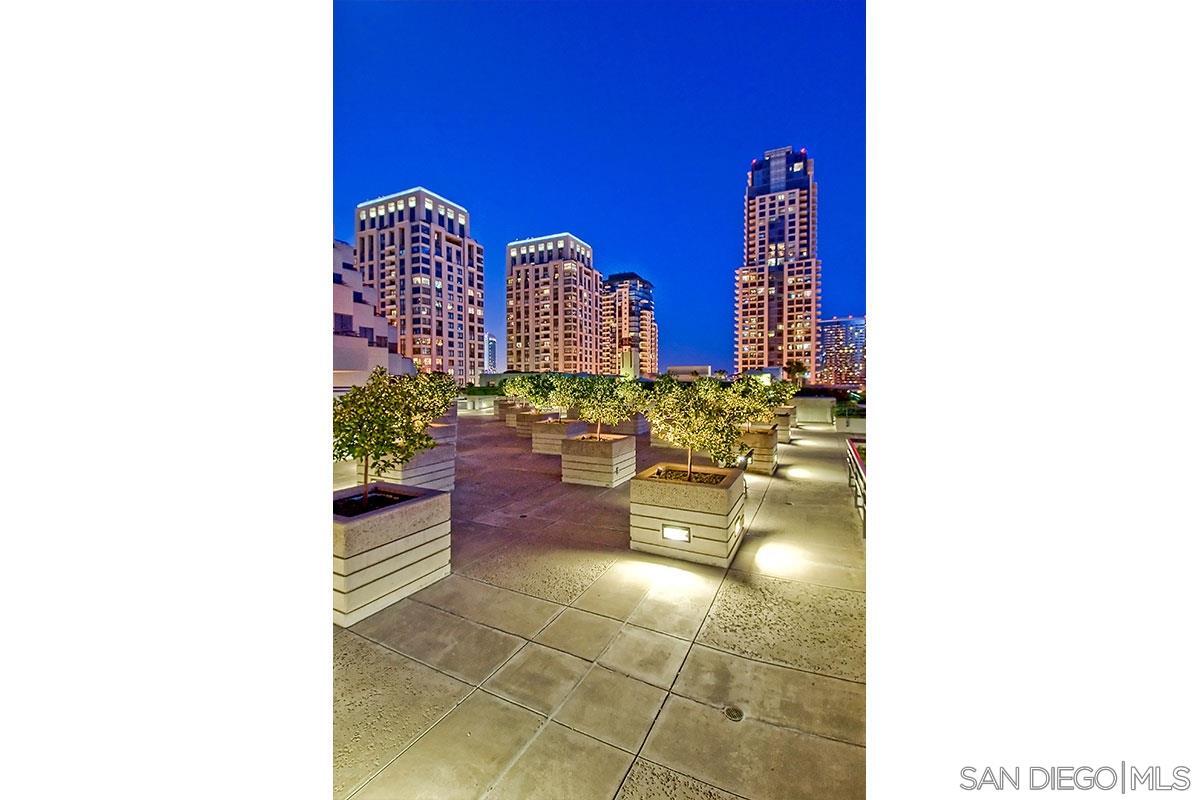 Grove of trees - 700 Front St