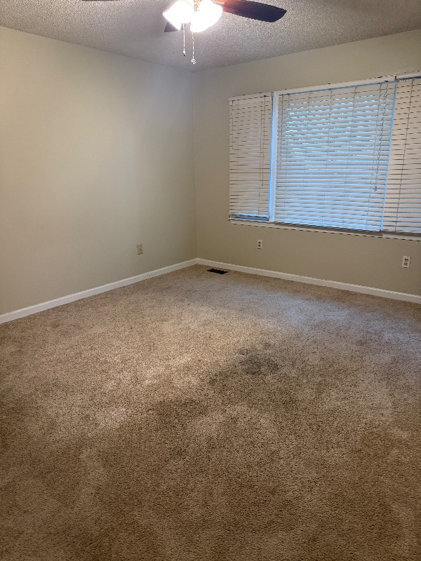 Building Photo - 4513 Park Knoll Ln