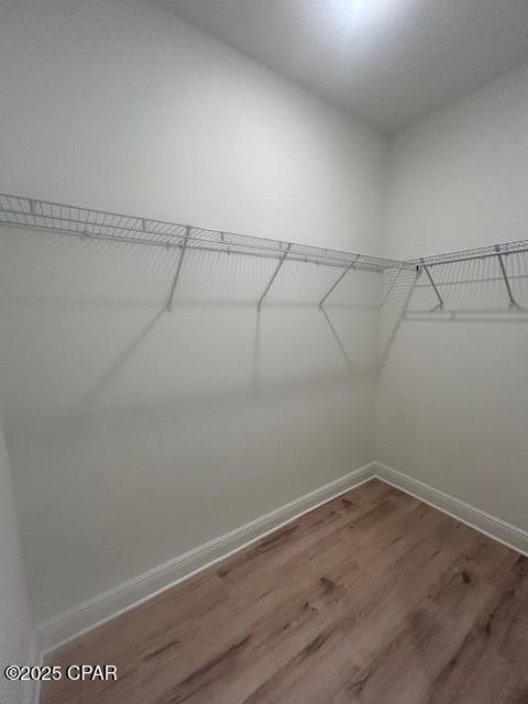 Building Photo - 115 Galley Ln