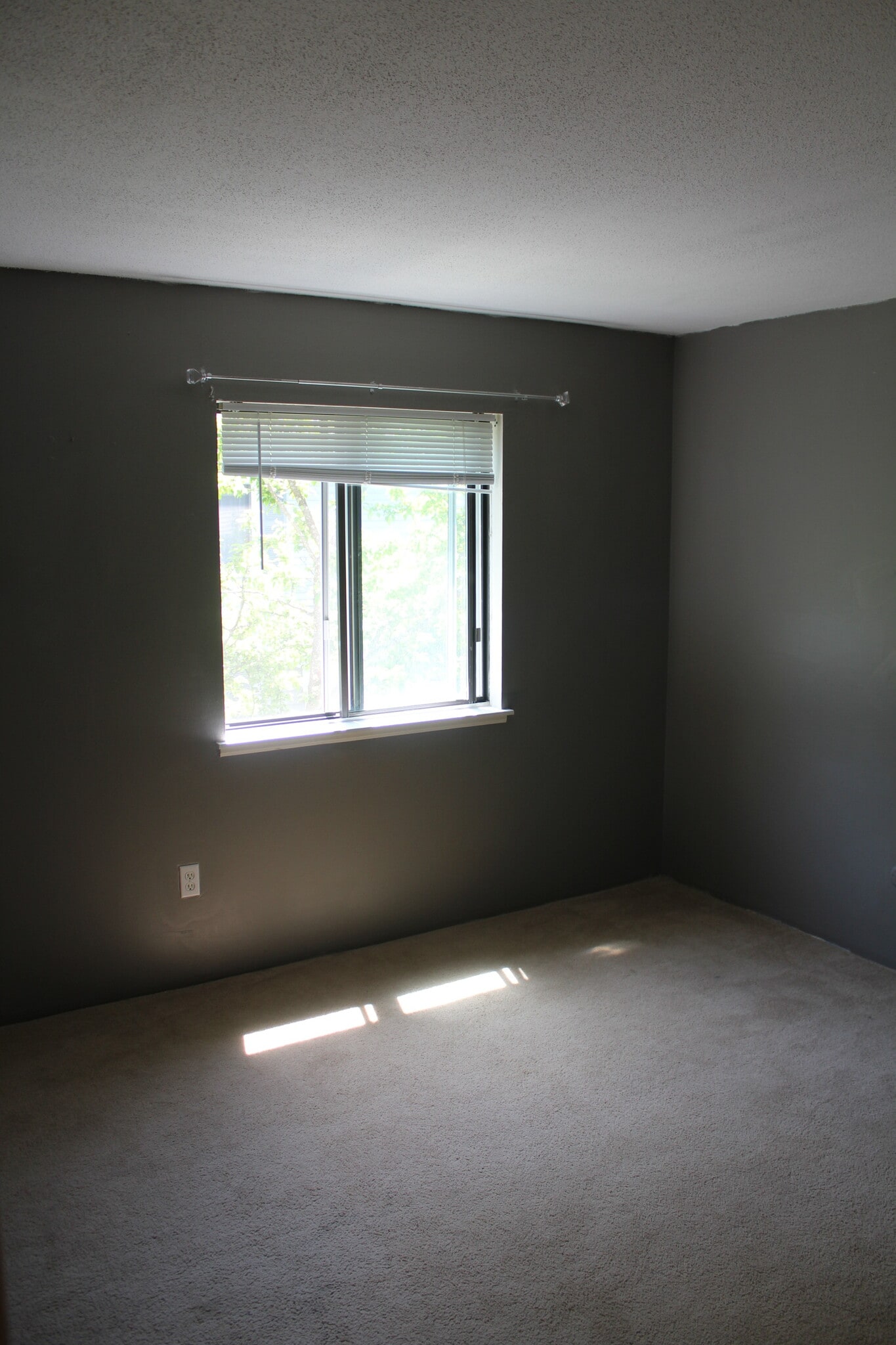 Building Photo - 10 Village Brook Ln