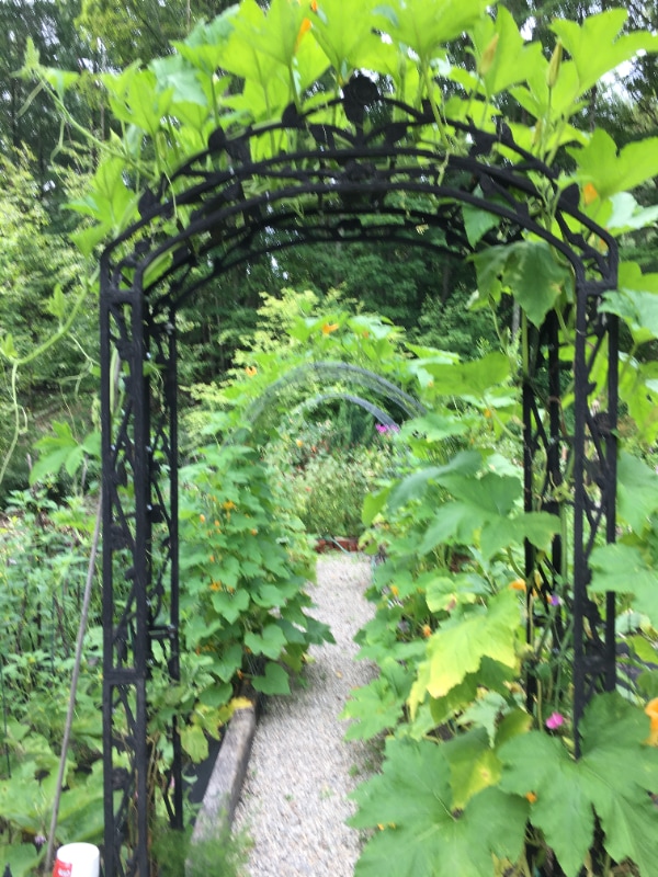 Building Photo - 200 Lovers Ln