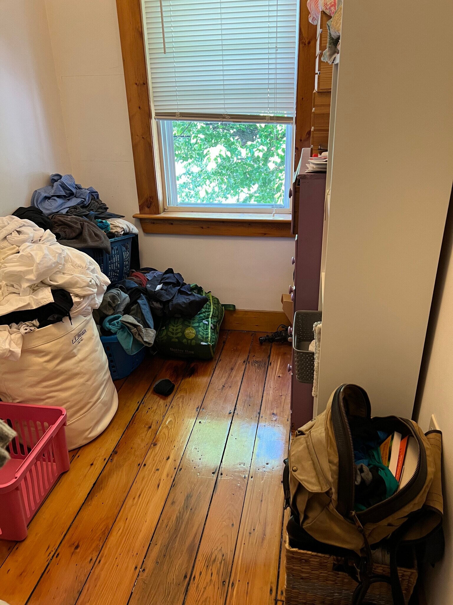 Building Photo - 6 Plymouth St