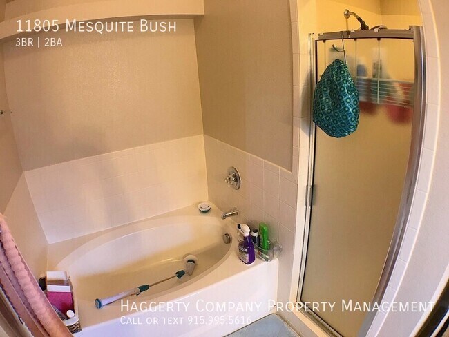 Building Photo - 11805 Mesquite Bush Dr