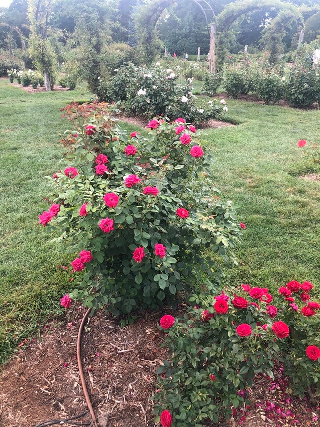 Building Photo - 1144 Boulevard