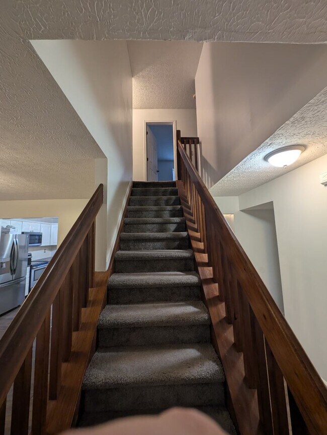 Building Photo - 53 Brenton Dr
