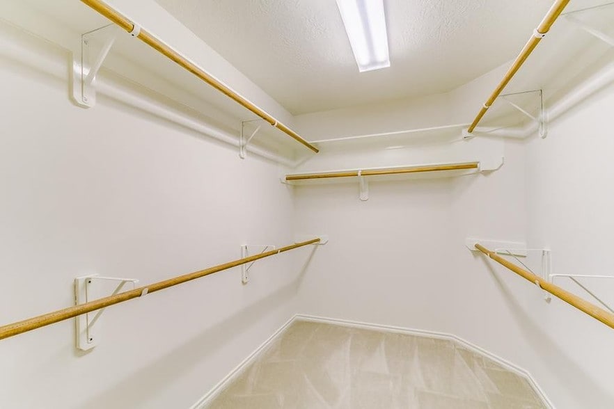 Master walk-in closet - 8310 Coriander Ln