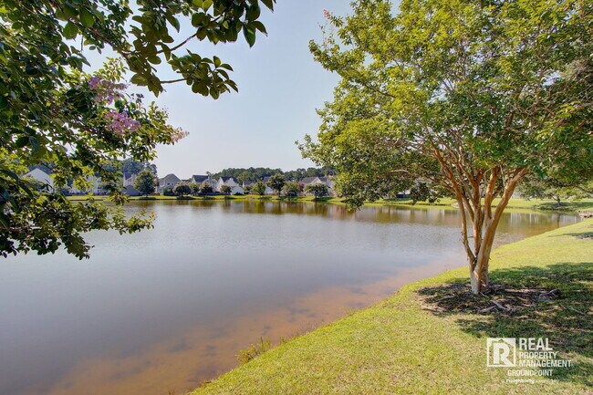 Building Photo - 97 Avonshire Dr