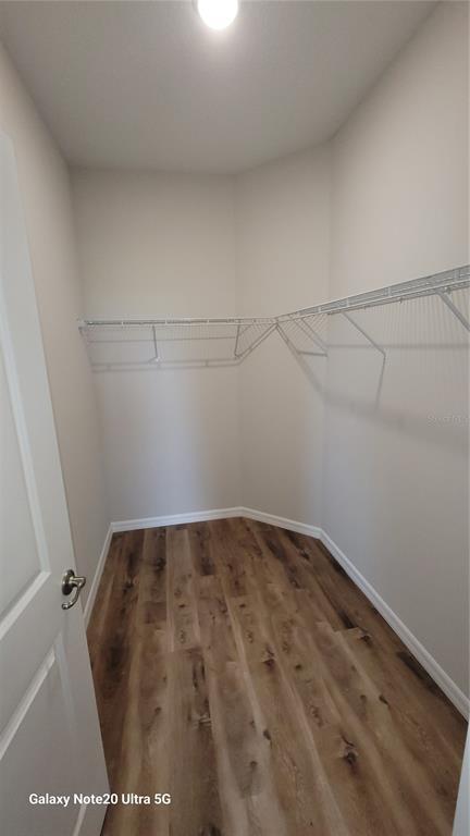 Building Photo - 24501 Tortoise Ln