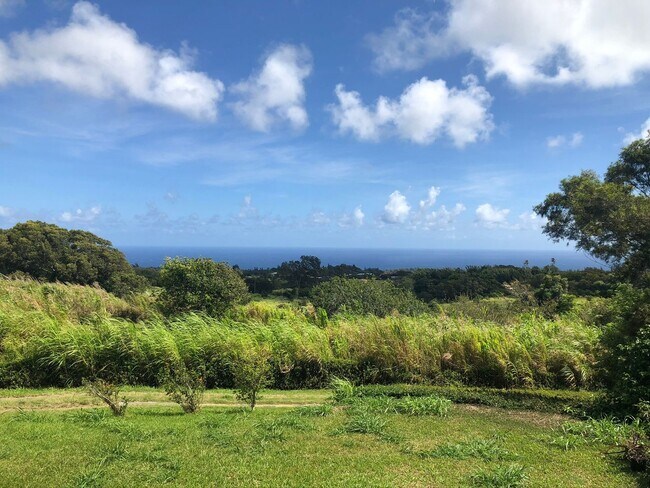 Building Photo - Fully Furnished Turn-Key 3 bd, 2 ba Ocean View Home In Hawi on 1 acre