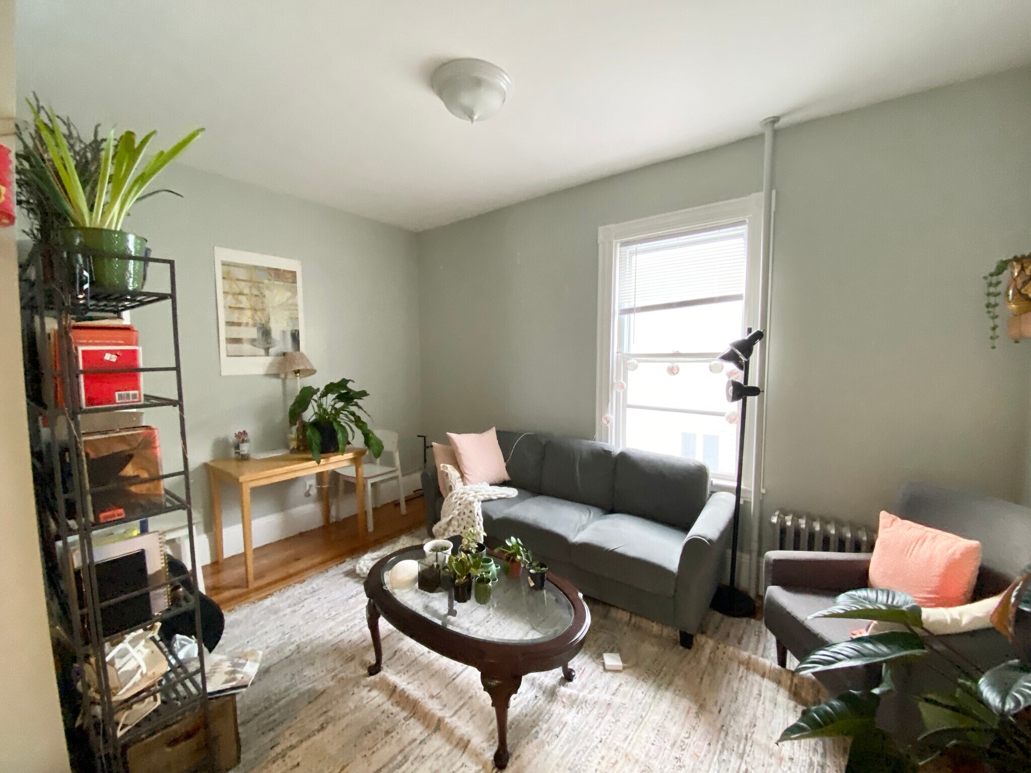 Building Photo - 3 Oswald St