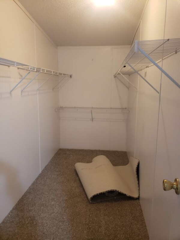 Building Photo - 2084 White Pine M H P Rd