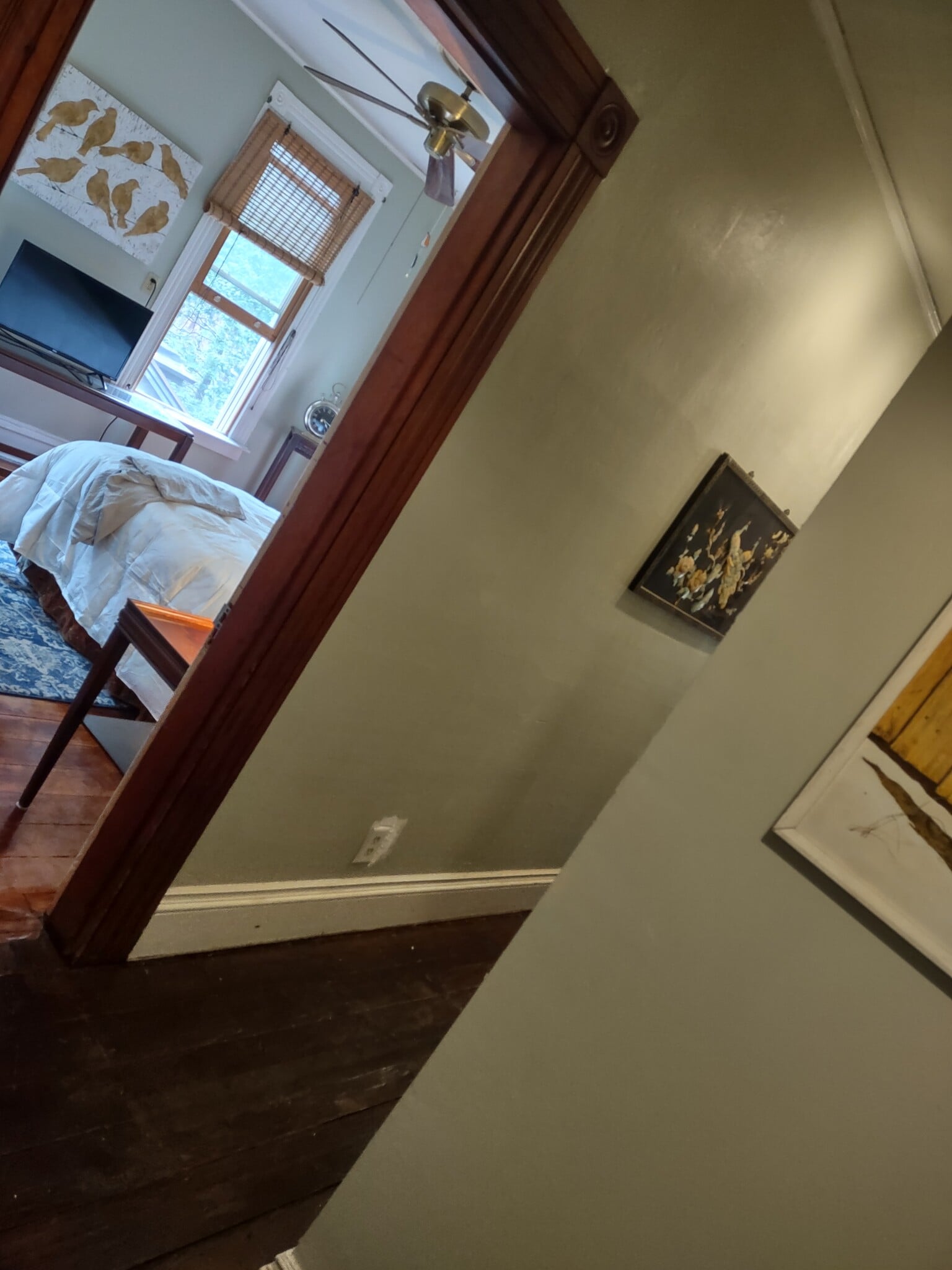 hallway - 363 Laurel St