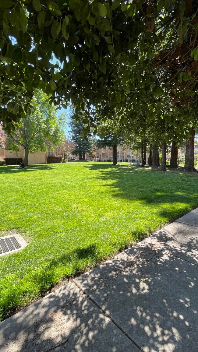 Building Photo - 2255 Showers Dr