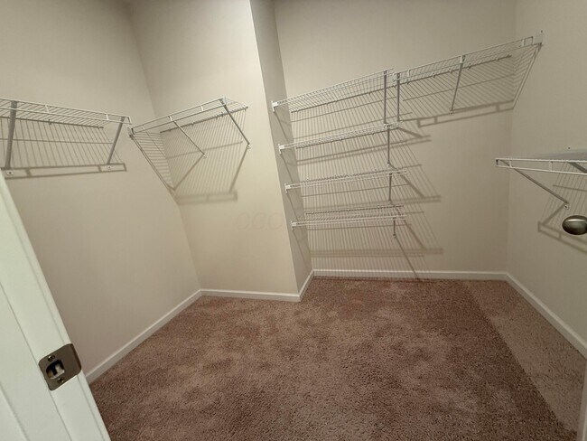 Building Photo - 1916 Pomodoro Dr