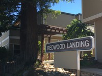 Building Photo - Redwood Landing