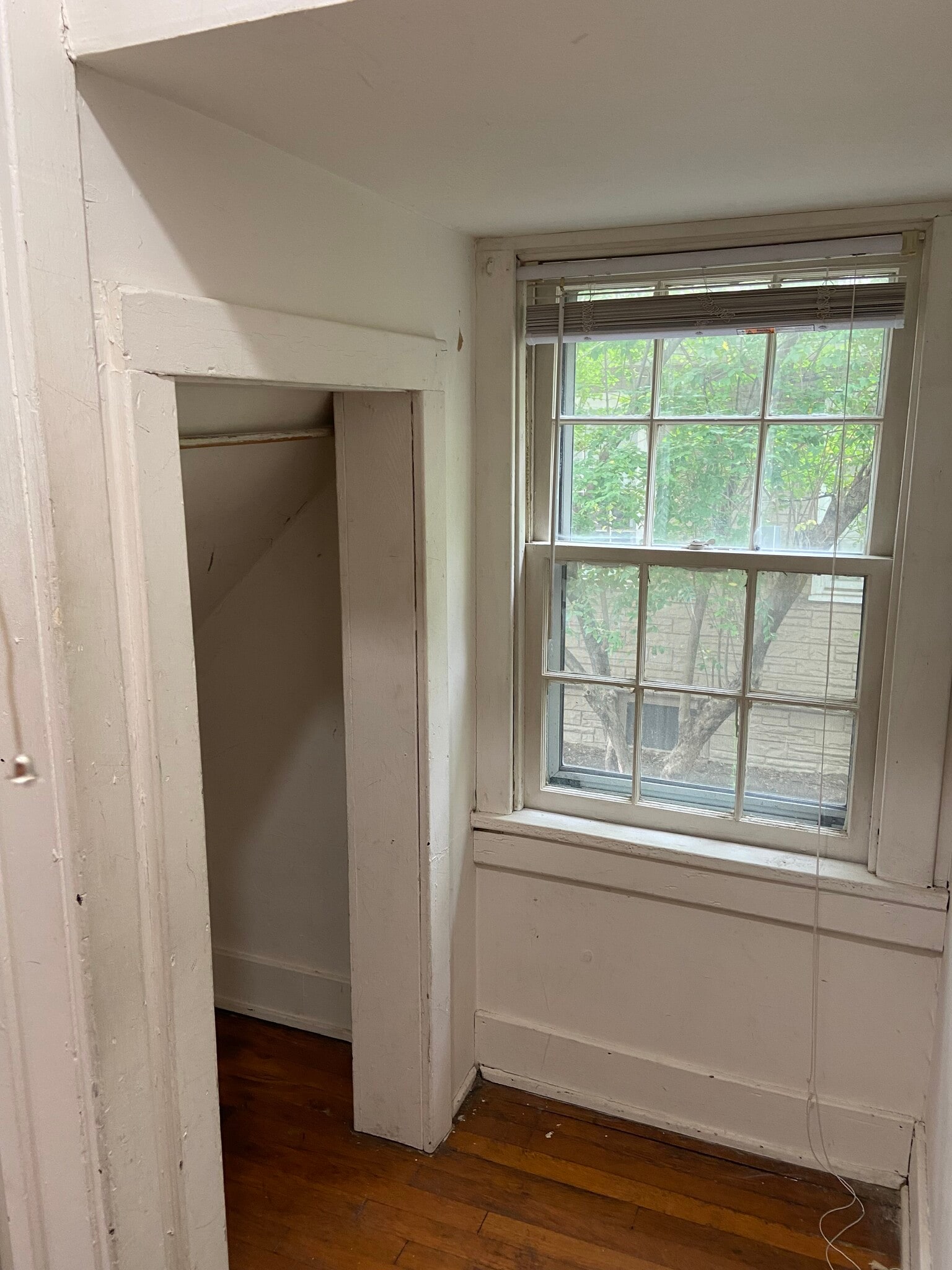 Extra Storage - 24 E Maple St