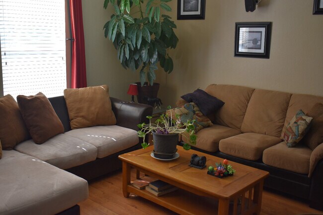 Building Photo - 903 Saddlebrook Ln