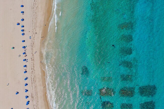 Building Photo - 3000 N Ocean Dr