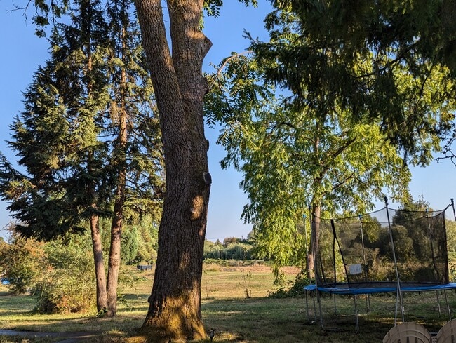 Building Photo - Farm House A