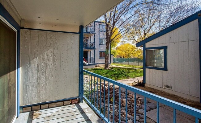 Building Photo - 2555 Clear Acre Ln