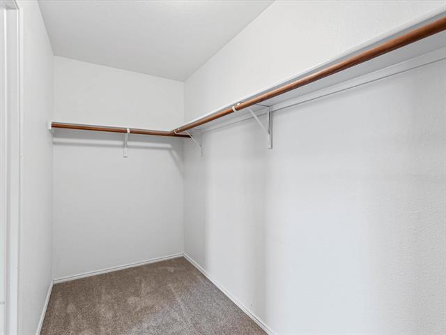 Building Photo - 3209 Sadie Trail