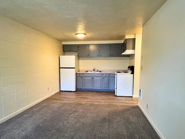 Building Photo - (CAM 9)  Very Nice Large 1 bed Apt - Close to U of O