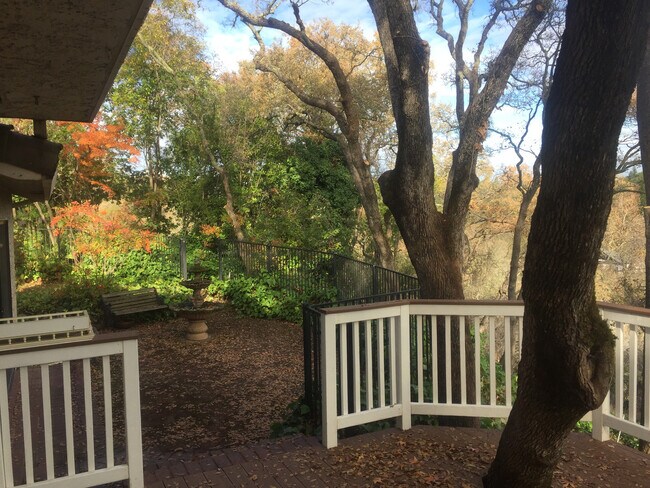 Building Photo - 110 Rock Ravine Ct