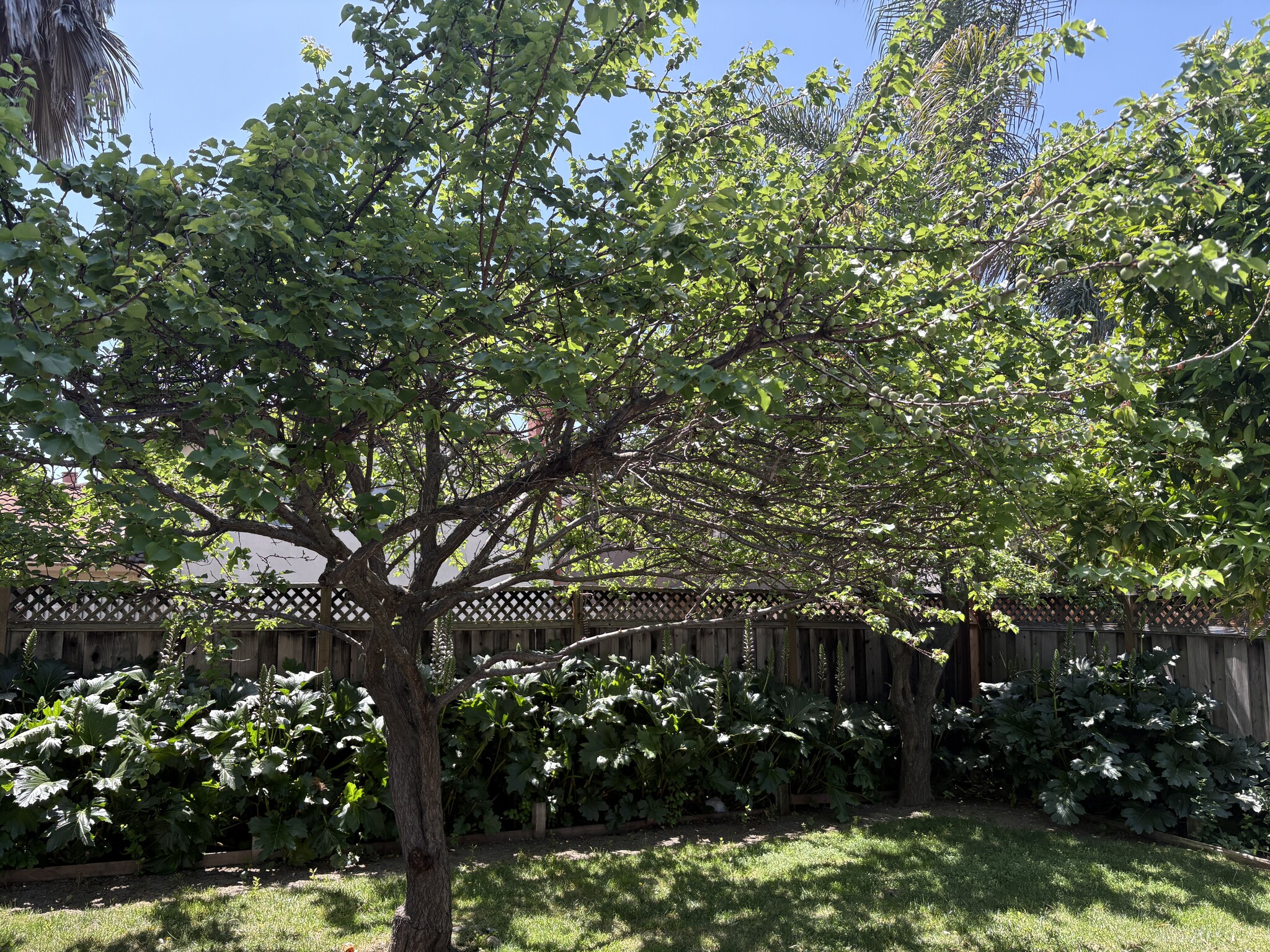 Building Photo - 322 Avenida Nogales