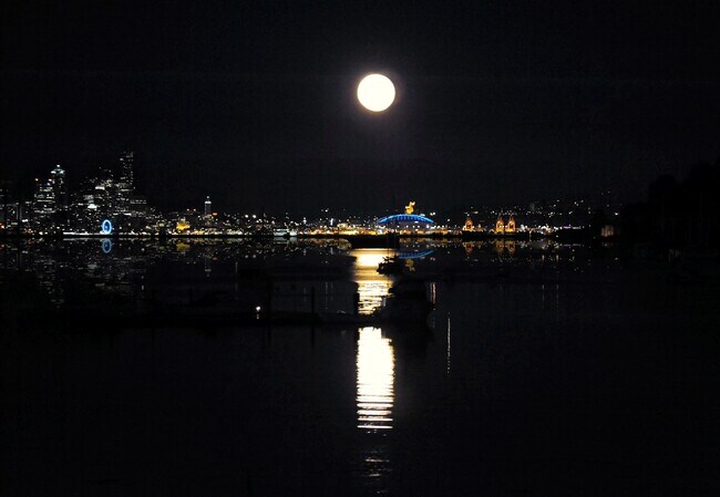 Building Photo - 6246 NE Eagle Harbor Dr