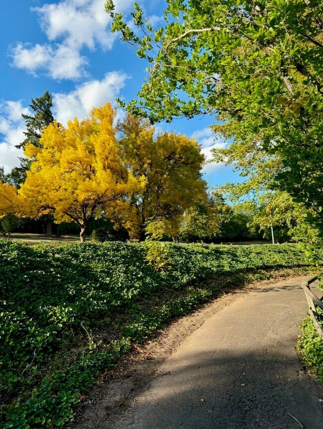 Building Photo - Spacious Mt. Park Lake Oswego Condo - Larg...