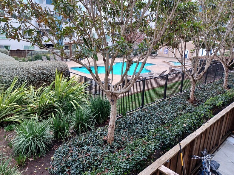 Pool view (pool and hot tub) - 6400 Christie Ave