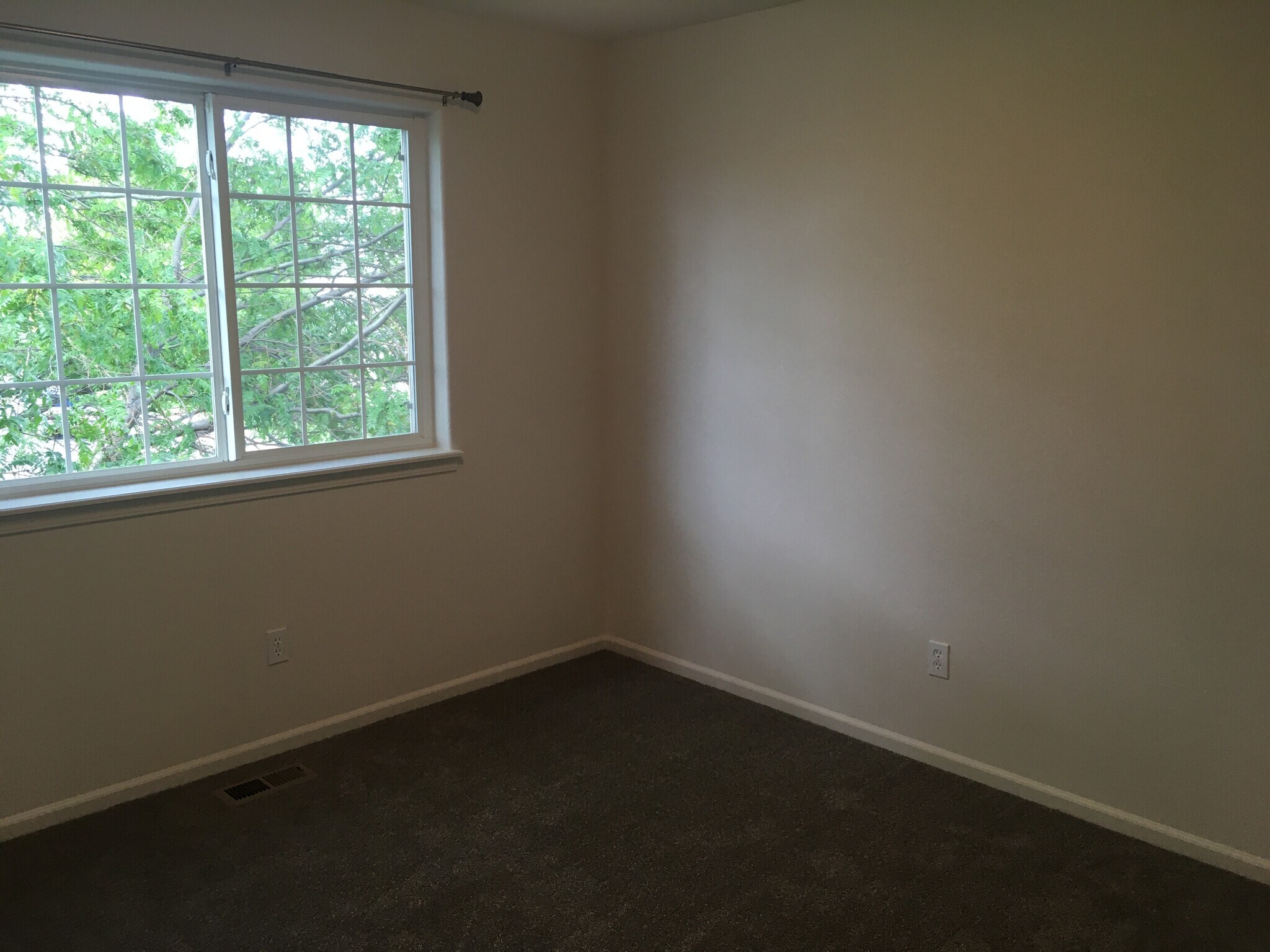 Bedroom 2 - 809 Scotch Pine Dr