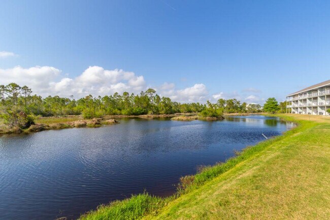 Building Photo - 24101 Perdido Beach Blvd