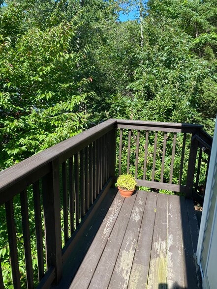 Building Photo - 84 Guinea Rd