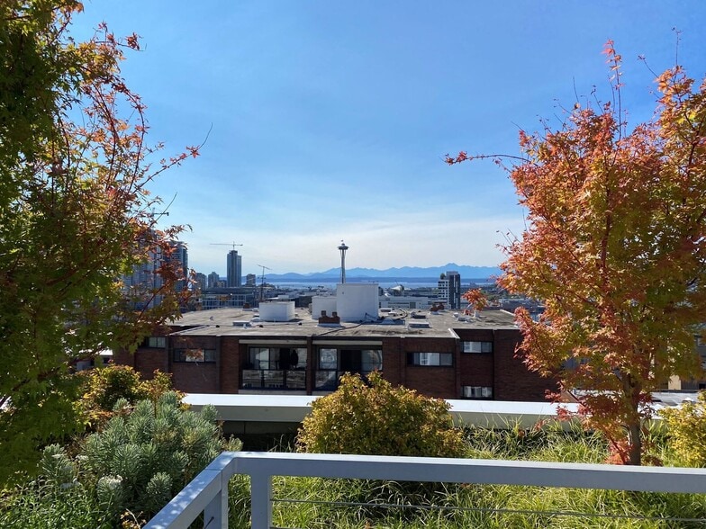 Interior Photo - The Local 418