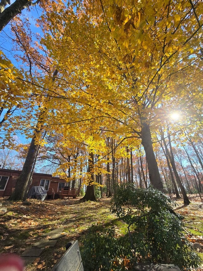 Building Photo - 37 Hill Rd