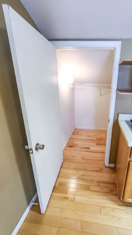 Building Photo - 2404 St Paul Dr