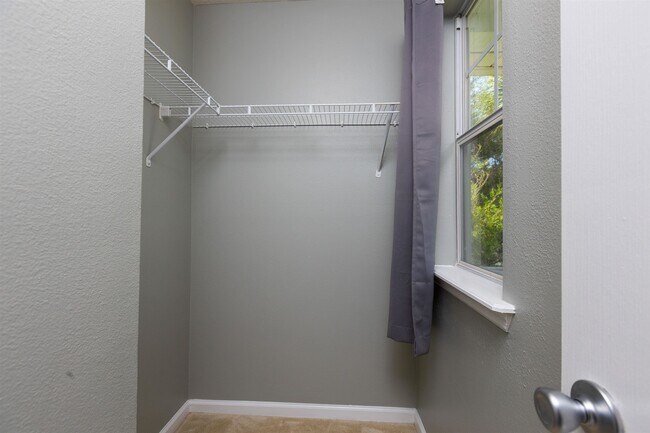 Building Photo - 58 Islander Cir