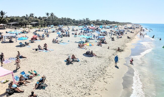 Building Photo - Annual furnished OPTIONAL 2/1 condo Island life