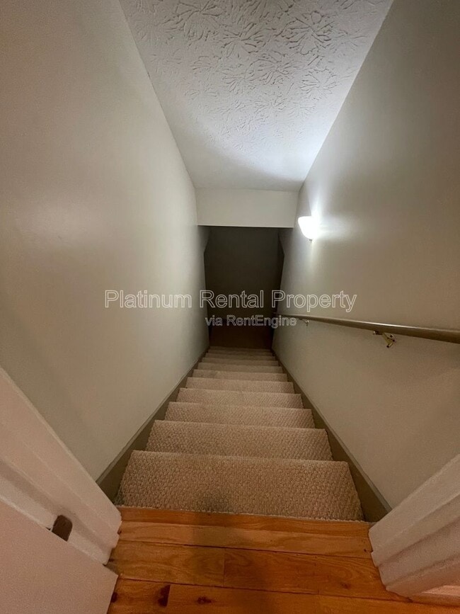 Building Photo - 265 Hound Dog Ln