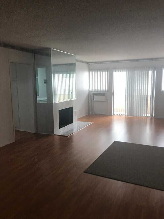 Fire Place in Living Room - 1828 Camden Ave