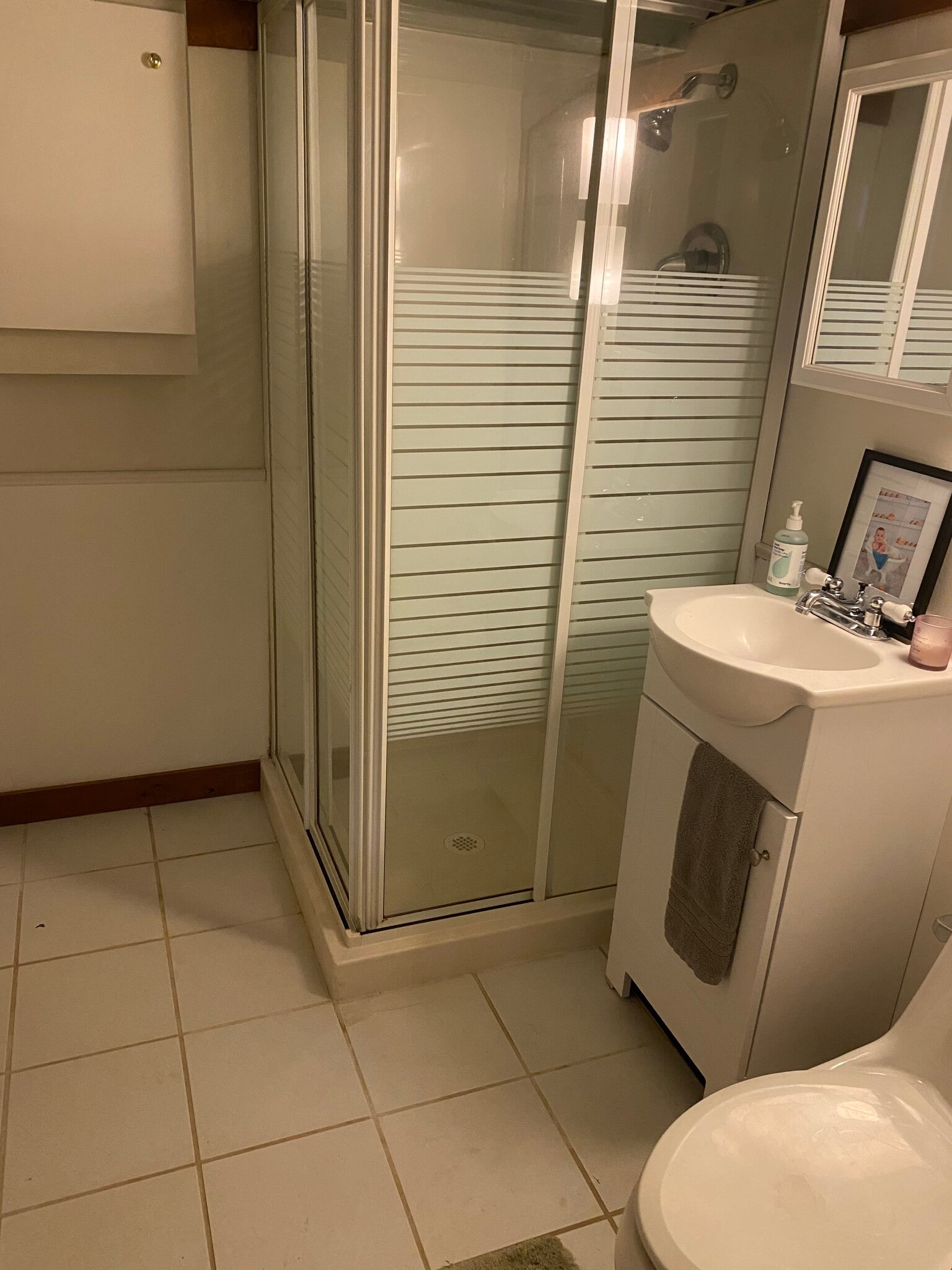Lower Level Bathroom - 11420 Terrace Rd NE