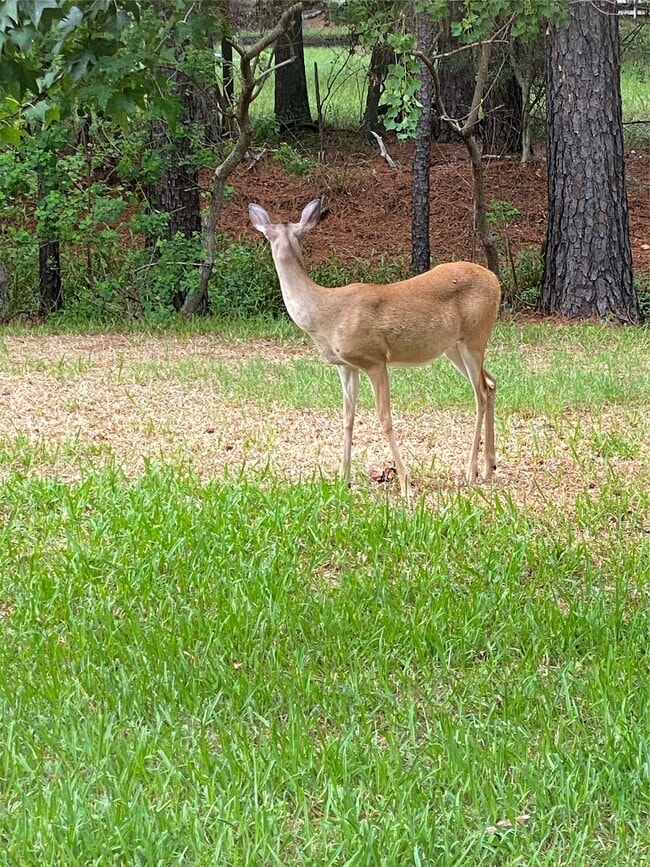 Building Photo - 6018 Sugar Bush Dr