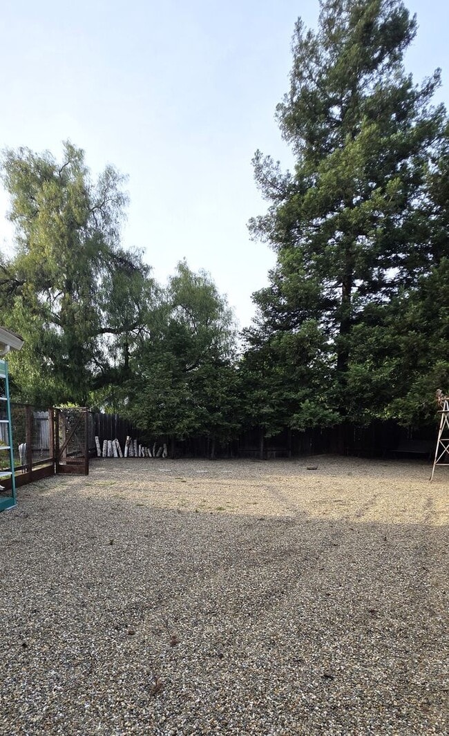 Building Photo - 4BD/2.5BA Single Story, Court Location on Walnut Creek Border