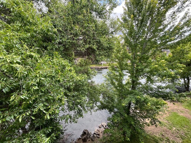 Building Photo - 1 Bed/1 Bath with River Views! Riviera Rid...