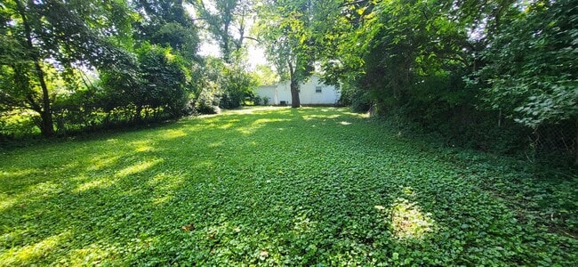 Building Photo - 3 Bedroom home in Southeast Springfield fo...